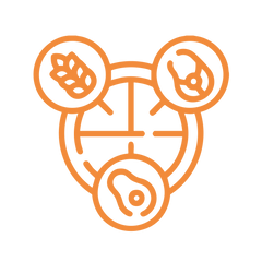 Absorb Essential Nutrients